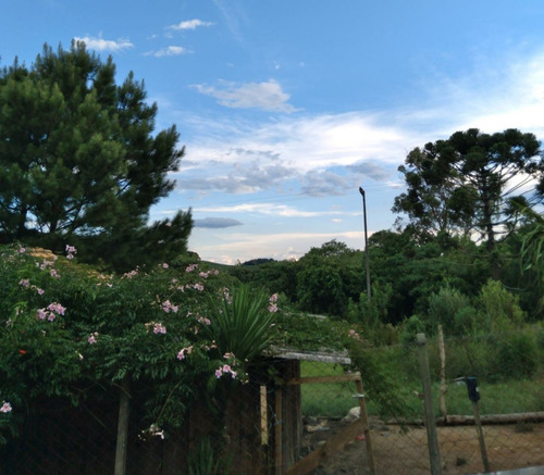 Imagem 12 de 12 de Terreno Agriculturável. Possui Um Posso Semi Artesiano