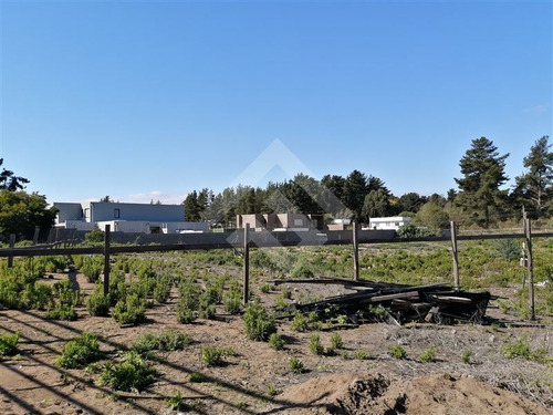 Imagen 4 de 5 de Sitio En Venta En Viña Del Mar