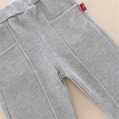 Conjunto Niño Sudadera Con Efecto De Doble Capa Y Pantalones Gris 2-3 Años