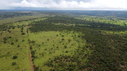 Imagem 2 de 5 de Fazenda À Venda, 3630000 M² Por R$ 9.000.000,00 - Zona Rural - Alexânia/go - Fa0026
