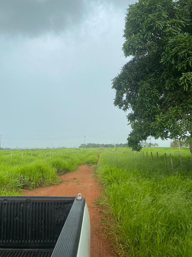 Imagen 15 de 17 de Se Vende Finca En Caicarita Estado Monagas Ve02-1095mced-mtru