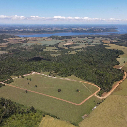 Loteo Don Jaime / Región De Los Lagos (67191)