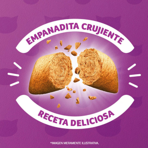 Whiskas Alimento Para Gatos Carne Receta 9kg + 1kg
