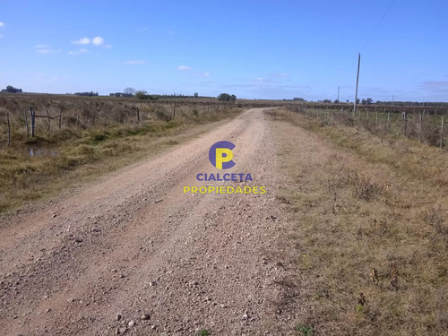 2 Hectáreas Y Media Con Aguada En El Fondo