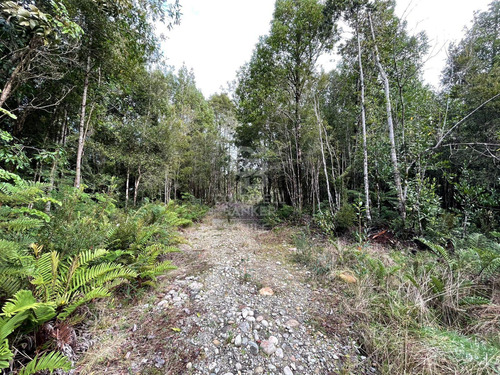 Parcela 5.750 M² Con Bosque Nativo, Cerca De Puerto Varas