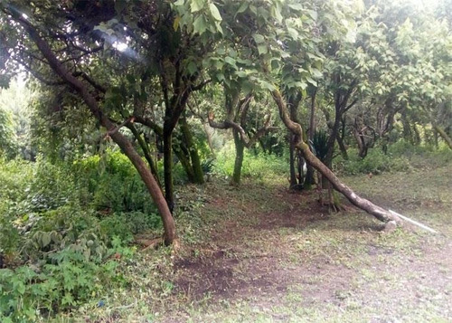 Imagen 1 de 4 de Terreno - Venta Fraccionamiento Rancho Cortes, Cuernavaca