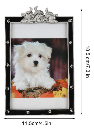 Marco De Fotos Para Mascotas, Imagen Conmemorativa, Retrato