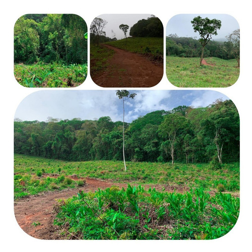 Imagem 9 de 14 de A01- Desconto De Terrenos 1.000m2 Plainos Prox A Represa !!!