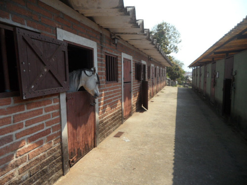 Imagem 7 de 14 de Ibiúna; 3.000m2 Amante De Equinos C/09 Baias Poço Artesiano