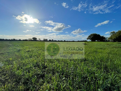 Campo En Venta De 53 Has. Con Vivienda Y Arroyo, Prox Minas