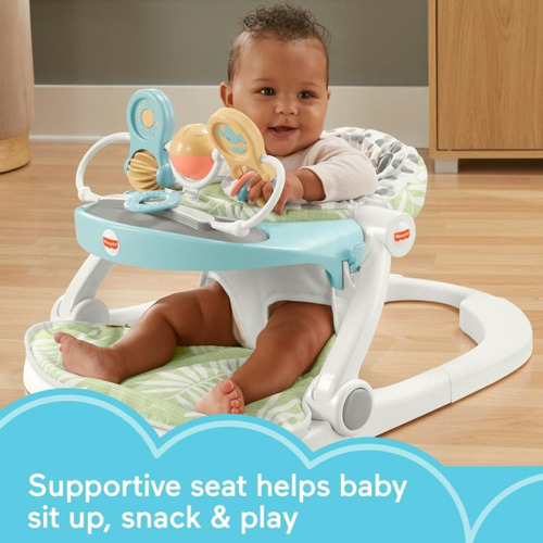Fisher-price Silla Portátil Para Bebé De Lujo, Asiento De