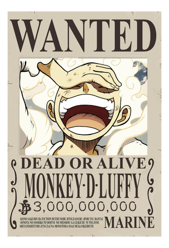 Posters Se Busca One Piece Actualizados