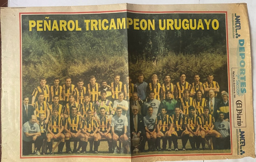 Poster Peñarol Tri Campeón Uruguayo 1995. Cr06