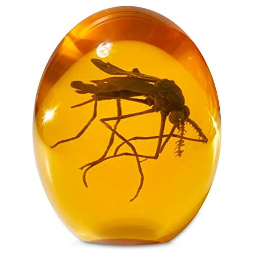 Mosquito Jurásico Ámbar 3d | Diseño   Verdadero 3d B...