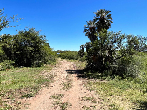 Tres Hectareas En San Francisco Del Monte De Oro.