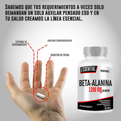 Beta-alanina 1200 Mg | Testrol | Essential | 60 Caps Sabor Sin sabor