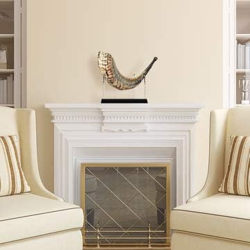 Shofar Zion Kosher Shofar Natural Sin Olor | Cuerno De Carne