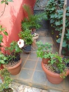 Imagem 12 de 19 de Casa A Venda No Bairro Club De Campo Fazenda Em Itatiba - - Ca2910-1