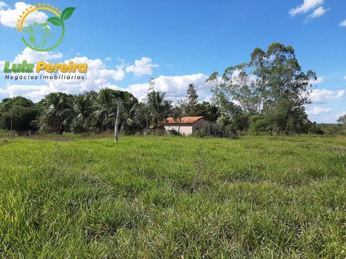 Imagem 1 de 12 de Fazenda À Venda Em Nova Olinda - To - 968 Hec (pecuária) - 1876