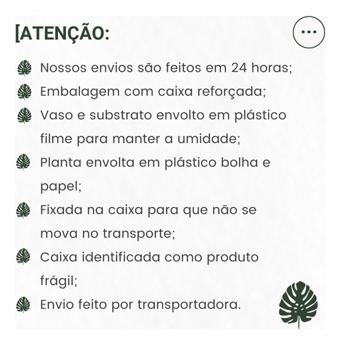 Kit 3 Pcts Semente Abacaxizinho Inará Inajá Vemelha Artes