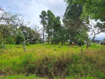 Comprar Vendo Lote Comercial Y\u002Fo Residencial En Volcán