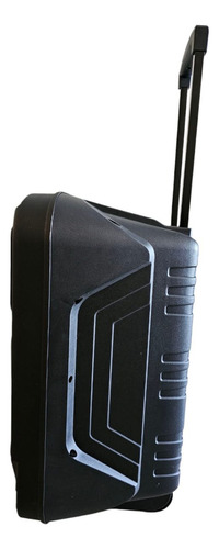 Bafle Grande Amplificado De 15 Pulgadas Bluetooth, Usb (50w) Color Negro