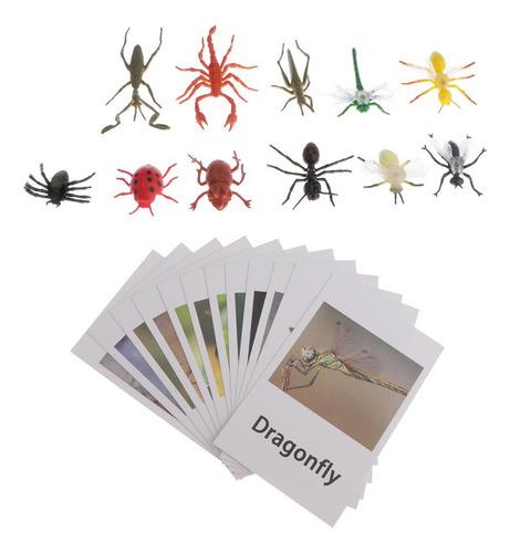 60x Montessori Juguetes De Animales De Con Tarjetas A