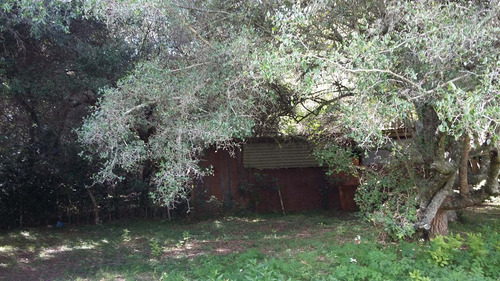 Imagen 5 de 5 de Casa Quinta En Venta Punta Indio Cerca Del Río De La Plata