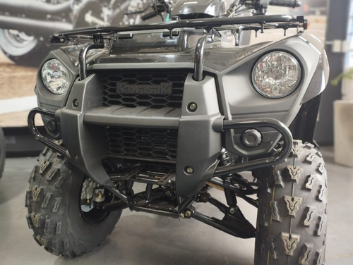 Imagen 4 de 15 de Kawasaki Brute Force 300