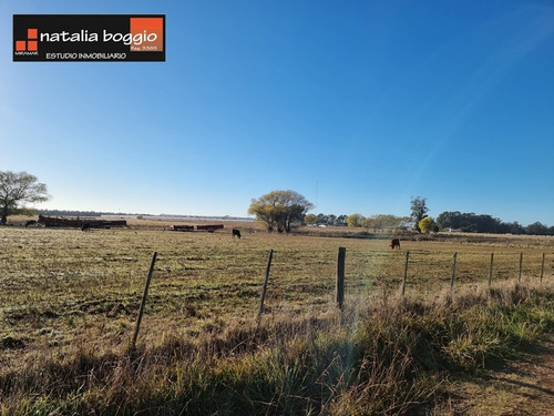 Imagen 8 de 11 de Lote En Santa Irene Miramar A 200 Mts De La Ruta 77 De 418 Mts2 V4640