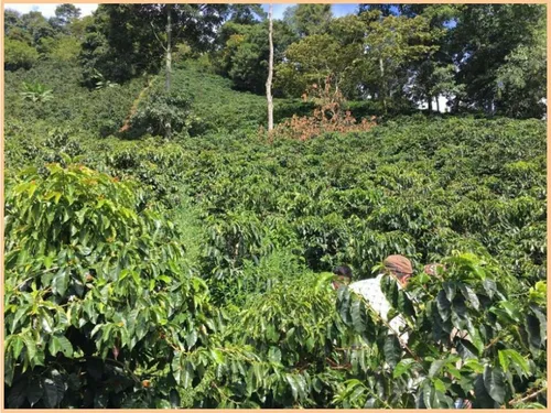 Vendo Casa Campestre Sopetran Antioquia