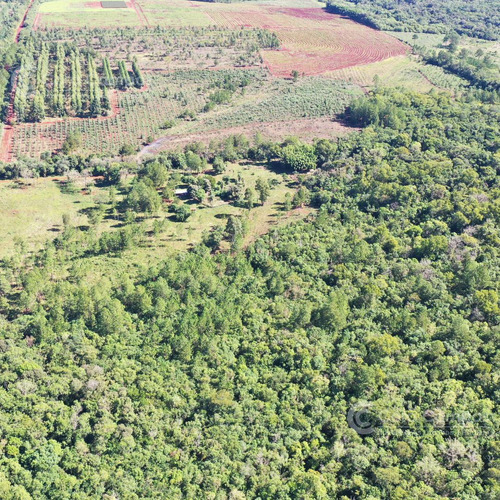 Se Vende Chacra Entre Apóstoles Y San José. Misiones