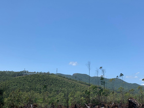 Imagem 7 de 12 de 06-lotes Para Chacara Na Região De Mogi Das Cruzes