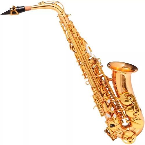 Saxofone Sax Alto Michael Dourado Wasm48 Em (eb) Com Case