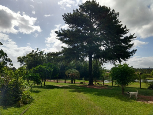 Chácara 8.750 M² - Costa Do Ipiranga - Gravataí - Rs - 2287 - 34670139