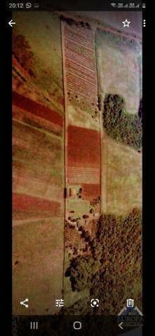 Imagem 2 de 7 de Terreno À Venda, 23280 M² Por R$ 1.400.000,00 - Chácaras São Miguel - Londrina/pr - Te0516