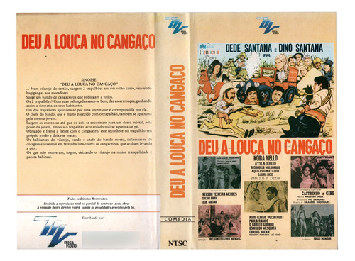 Breakout Aventura Muito Louca - Robert Carradine - Dublado (Usado)