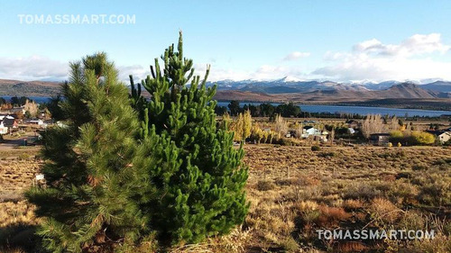 Terreno Vista Al Lago En Barrio Cerrado-dina Huapi