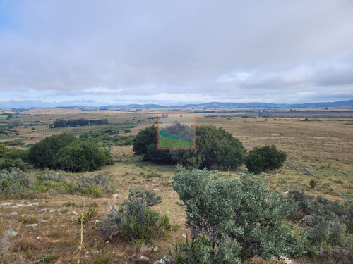 Imagen 12 de 30 de 79 Hás Campo Criador Y Serrano En Corte De La Leña