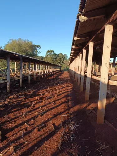 Vende-se 2 Galpão Pré Molhados De 100mts X3,5x3