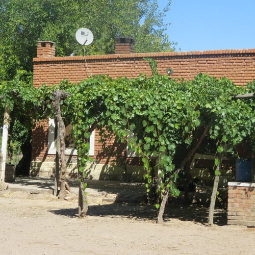 Imagen 12 de 14 de Vendo Finca 20 Hectareas Con Produccion De Viñedos Atuel Norte-san Rafael