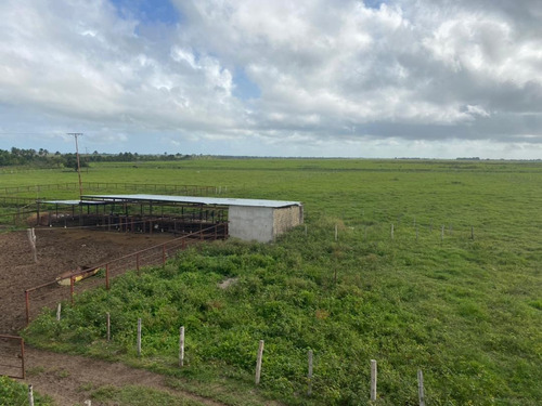 Imagen 5 de 7 de Venta De Finca Via El Sur Ve02-045vs-sg
