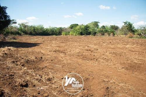 Imagen 2 de 11 de Venta De Finca Agricola En Masaya