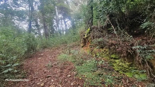 Terreno De 5 Hectáreas En Punucapa, Valdivia