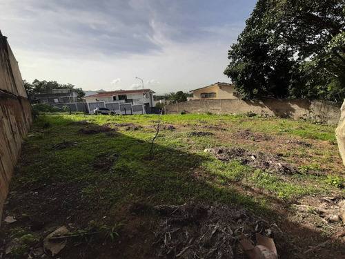 Imagen 2 de 7 de Terreno En Venta En Prebo Ii Cód 451765 María M López