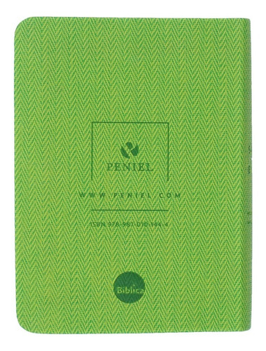 Biblia Nvi Bolsillo Letra Grande - Italiano Verde®