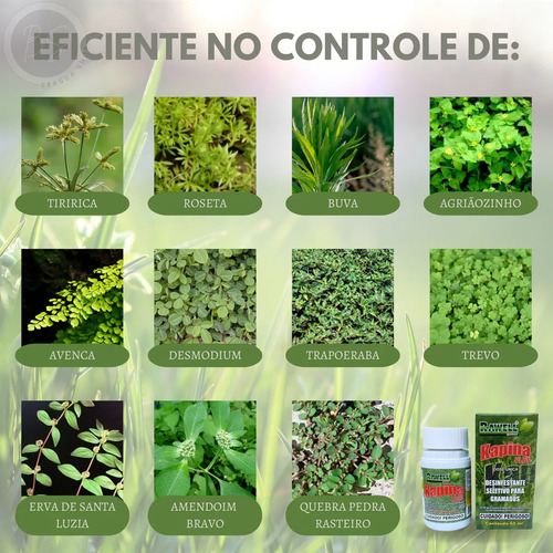 Kapina Plus 60ml Tiririca Trevo Gramado Promoção