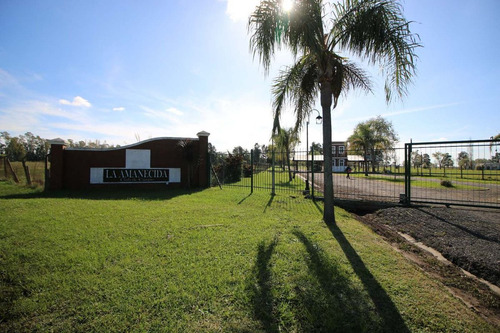 Venta, Lote 1971 M2. La Amanecida, Ex. De La Cruz.