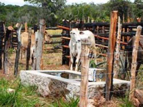Imagem 11 de 25 de Terreno À Venda, 1000 M² Por R$ 80.000 - Chapada Diamantina - Andaraí/ba - Te0009