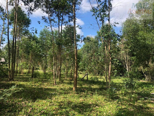 Imagem 10 de 15 de Chácara Para Venda Em Parobé - Cwvcr041_2-1122322